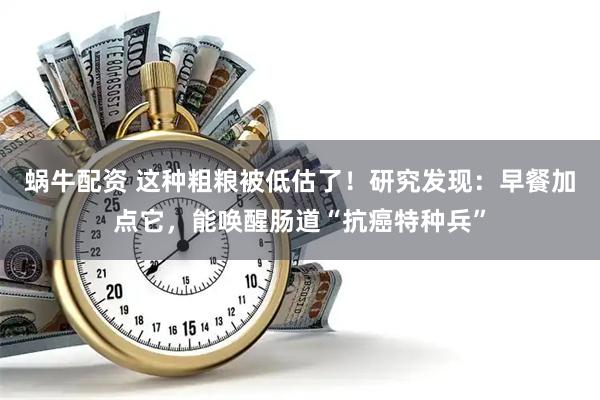 蜗牛配资 这种粗粮被低估了！研究发现：早餐加点它，能唤醒肠道“抗癌特种兵”